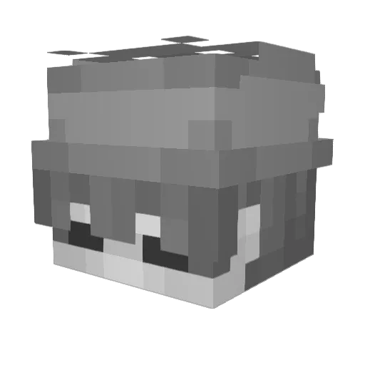 GrayPlayer Minecraft avatar head, 3D render