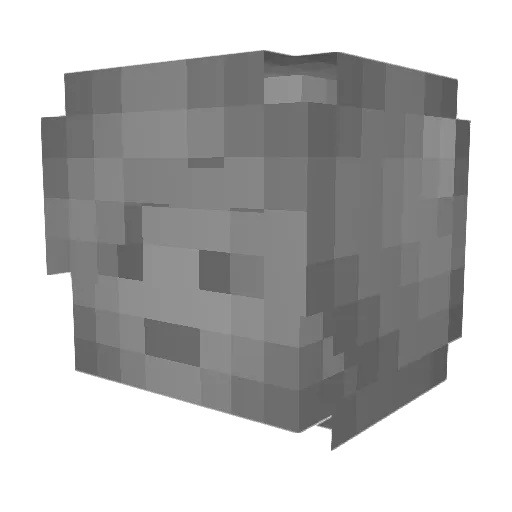 Gray_5cale Minecraft avatar head, 3D render
