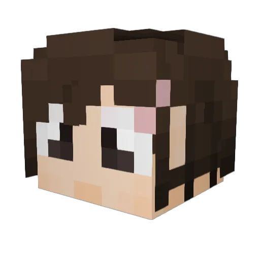 Gray_Nerd Minecraft avatar head, 3D render