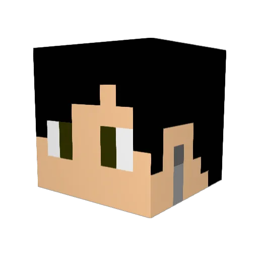 Gray_won Minecraft avatar head, 3D render