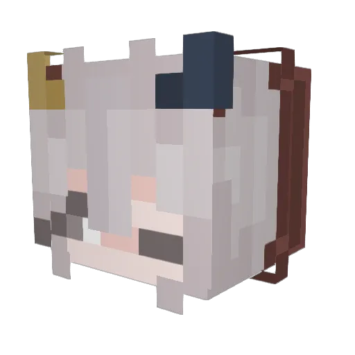 Grayali Minecraft avatar head, 3D render