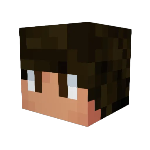 Grayback10 Minecraft avatar head, 3D render
