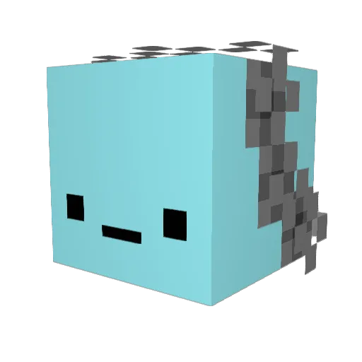 Graybacon11 Minecraft avatar head, 3D render