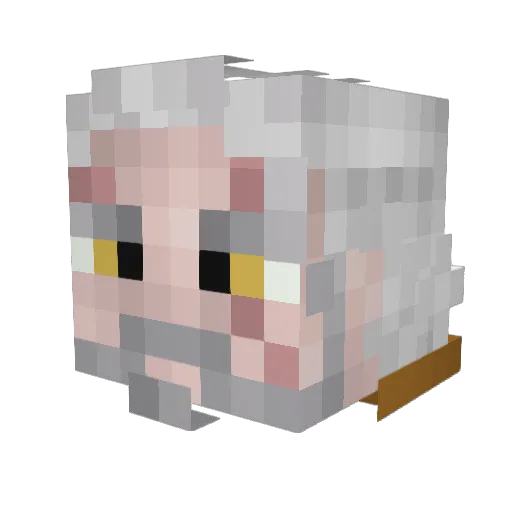 Grayfox_Hunter Minecraft avatar head, 3D render