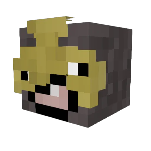 Grayify Minecraft avatar head, 3D render