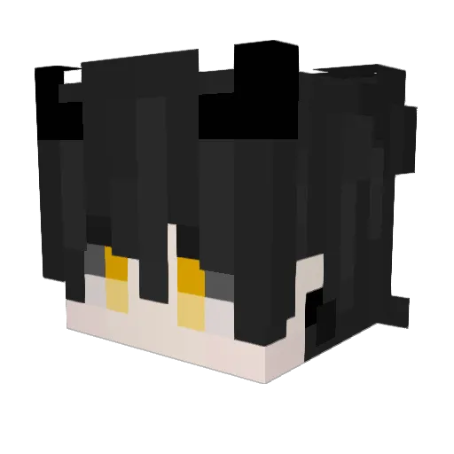 Grayman0 Minecraft avatar head, 3D render