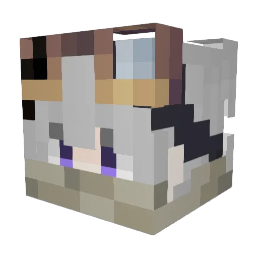 Graynon_Ink Minecraft avatar head, 3D render