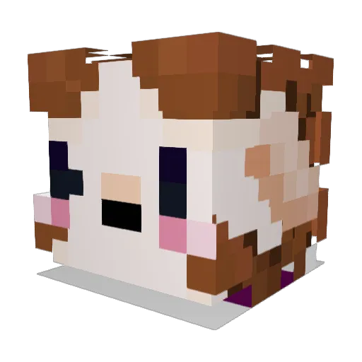 Grayrg02 Minecraft avatar head, 3D render