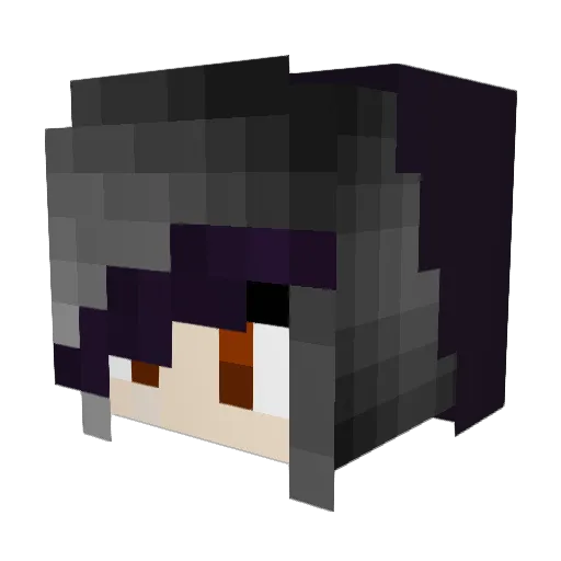 Grayskull_6969 Minecraft avatar head, 3D render