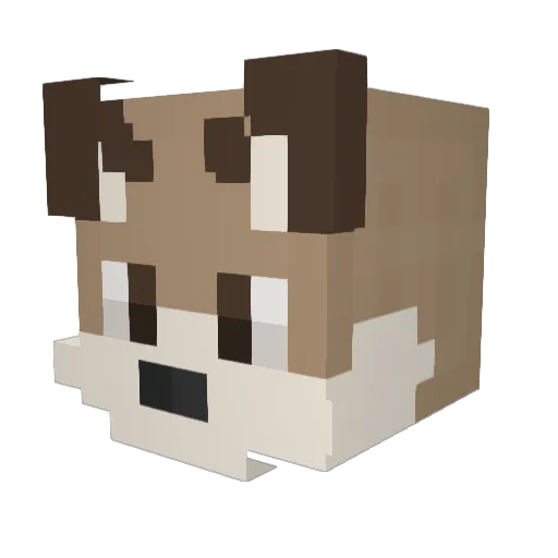 GraysonMuch Minecraft avatar head, 3D render
