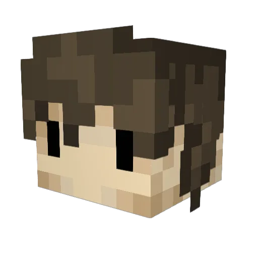 Grayson_Bear Minecraft avatar head, 3D render