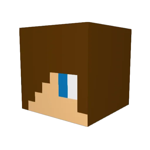Graysonandflip Minecraft avatar head, 3D render