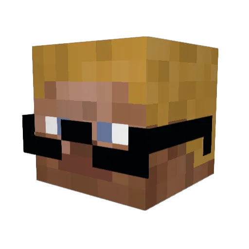 Graysonic05 Minecraft avatar head, 3D render