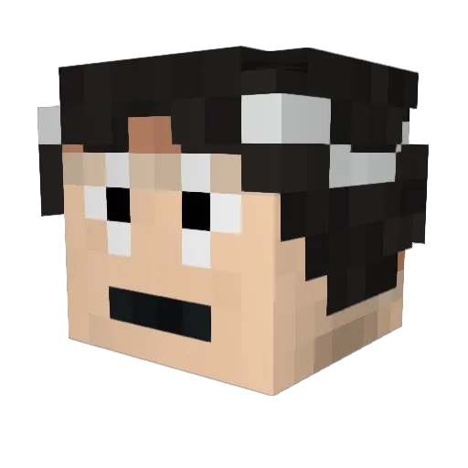Graysponge Minecraft avatar head, 3D render