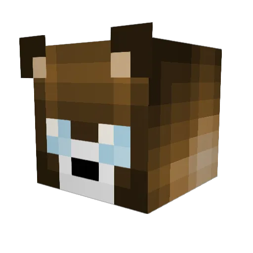 Grayy26 Minecraft avatar head, 3D render