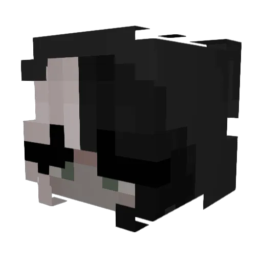 Grayzr Minecraft avatar head, 3D render