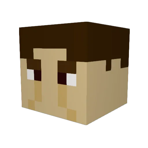 Great_Panda_Bear Minecraft avatar head, 3D render
