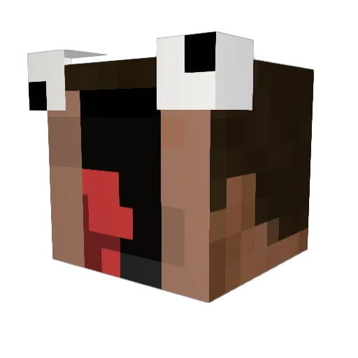 Gredicom Minecraft avatar head, 3D render