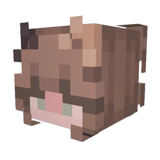 Greedy_5 Minecraft avatar head, 3D render