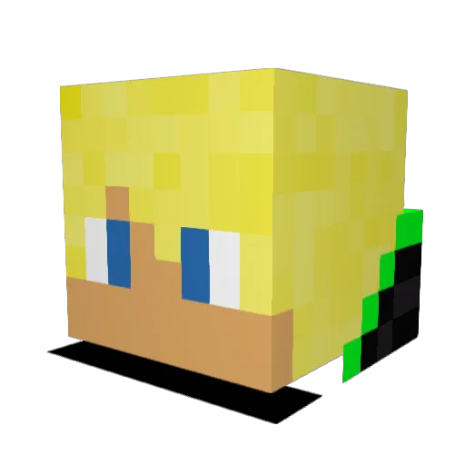 GreenDragon2718 Minecraft avatar head, 3D render