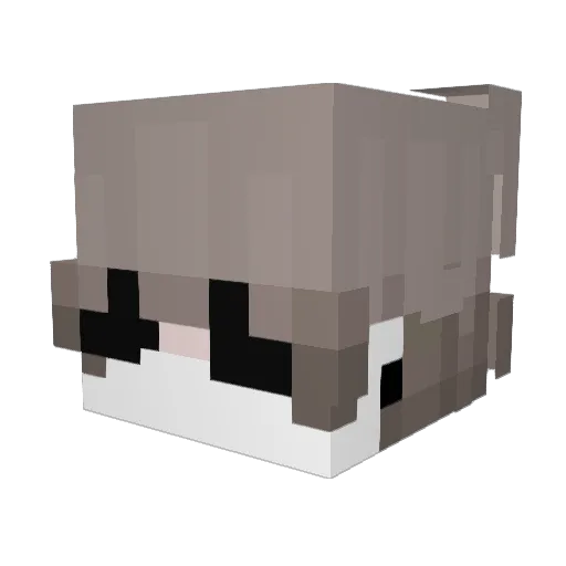 GreenLeo_ Minecraft avatar head, 3D render