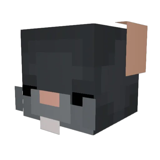 GreenLightSethYT Minecraft avatar head, 3D render