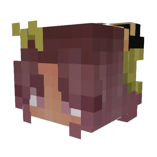 Green_Tea_Frog Minecraft avatar head, 3D render
