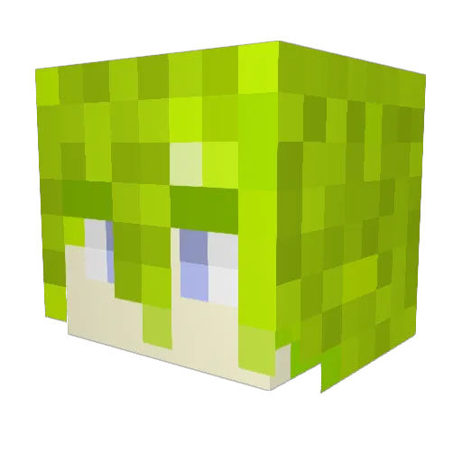 Greenday1_ Minecraft avatar head, 3D render