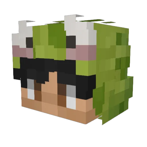 Greendoor_ Minecraft avatar head, 3D render