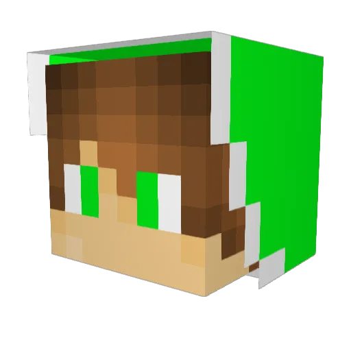Greenkid243 Minecraft avatar head, 3D render