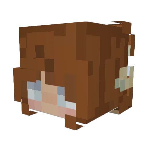 Greenlilyy Minecraft avatar head, 3D render