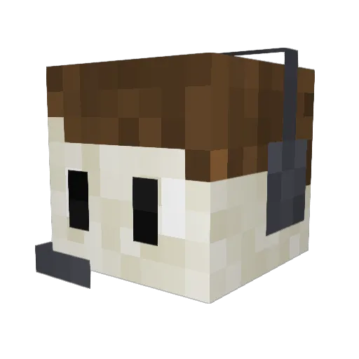 Greenray4567 Minecraft avatar head, 3D render