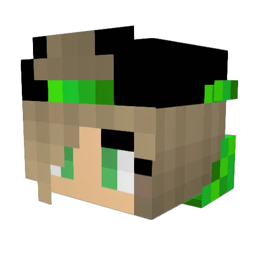 Greenwarrior123 Minecraft avatar head, 3D render