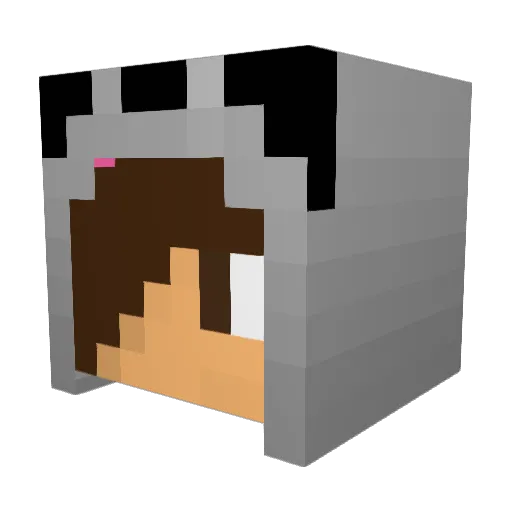 Gregor8888 Minecraft avatar head, 3D render