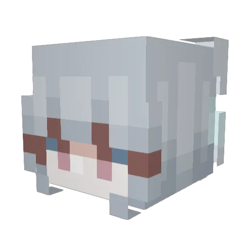 Gregzilla69 Minecraft avatar head, 3D render