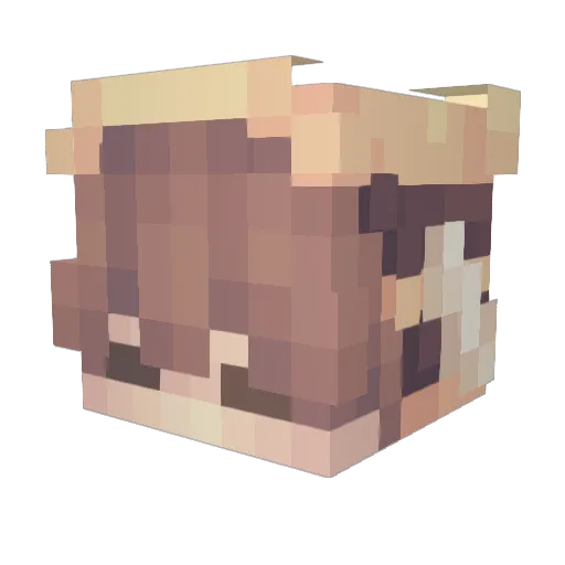Greiffin Minecraft avatar head, 3D render