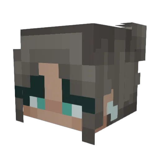Gremio Minecraft avatar head, 3D render