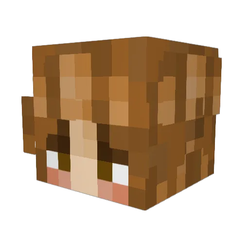 Gremli49 Minecraft avatar head, 3D render