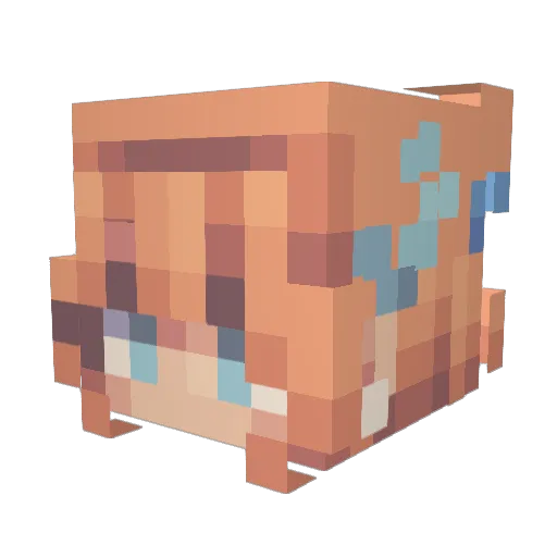 GremlinPyra15 Minecraft avatar head, 3D render
