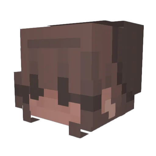 Gremlin_666 Minecraft avatar head, 3D render