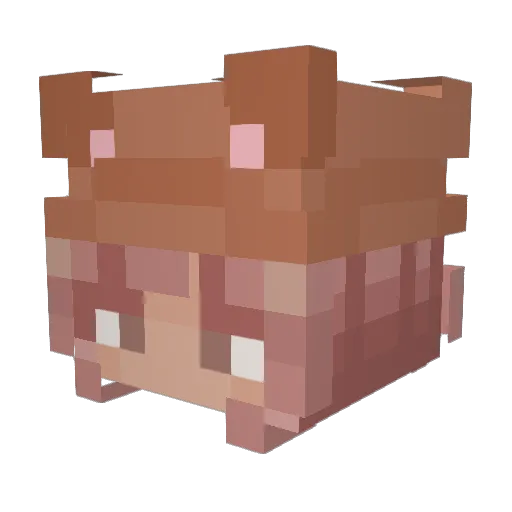 Greta1008 Minecraft avatar head, 3D render