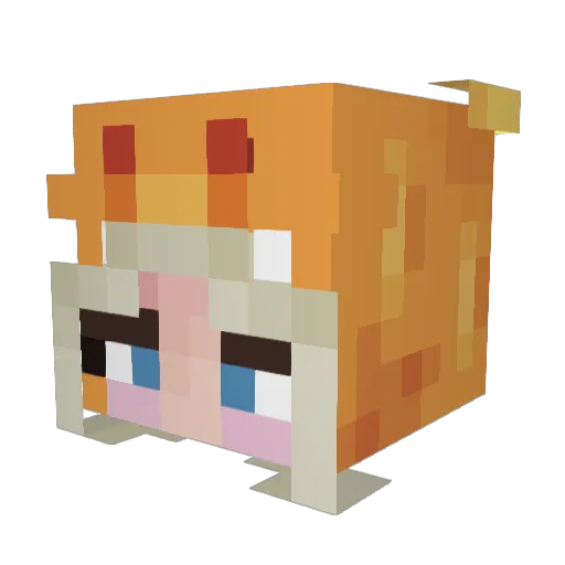Grey17458 Minecraft avatar head, 3D render