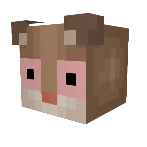 GreyHampter Minecraft avatar head, 3D render