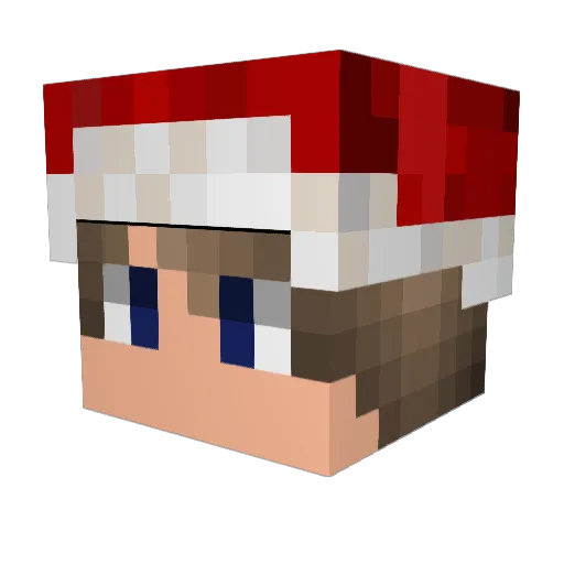 GreyMan317 Minecraft avatar head, 3D render