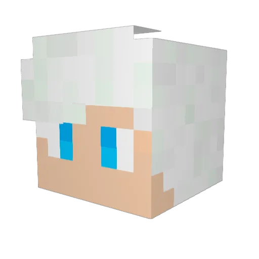 GreyShibuya Minecraft avatar head, 3D render