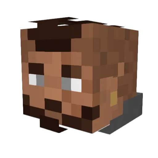 Grey_Hood8171 Minecraft avatar head, 3D render