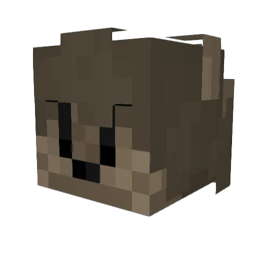 Greyguy08 Minecraft avatar head, 3D render