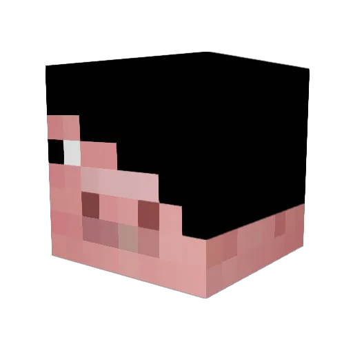 Greyham111 Minecraft avatar head, 3D render