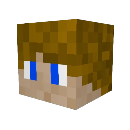 Greymane1490 Minecraft avatar head, 3D render