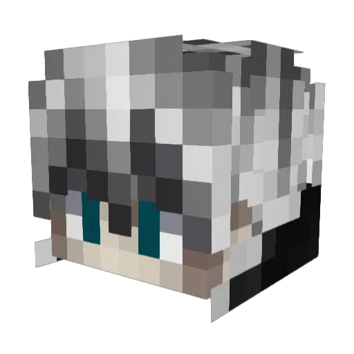 Greyn1 Minecraft avatar head, 3D render